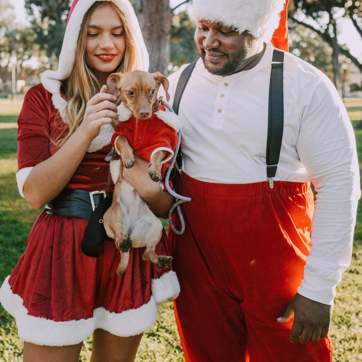 Xmas Gifts And Year in&nbsp;Review