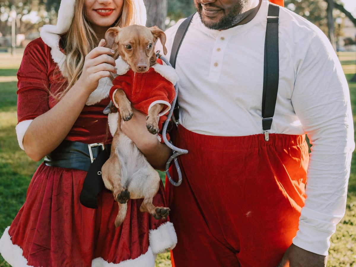 Xmas Gifts And Year in&nbsp;Review